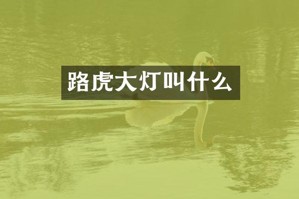 路虎大灯叫什么