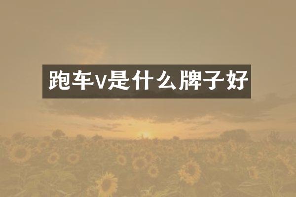 跑车v是什么牌子好