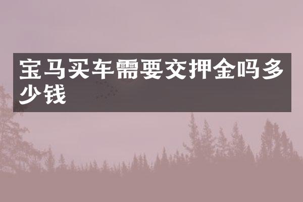 宝马买车需要交押金吗多少钱