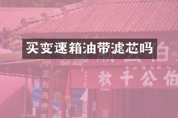 买变速箱油带滤芯吗