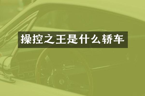 操控之王是什么轿车
