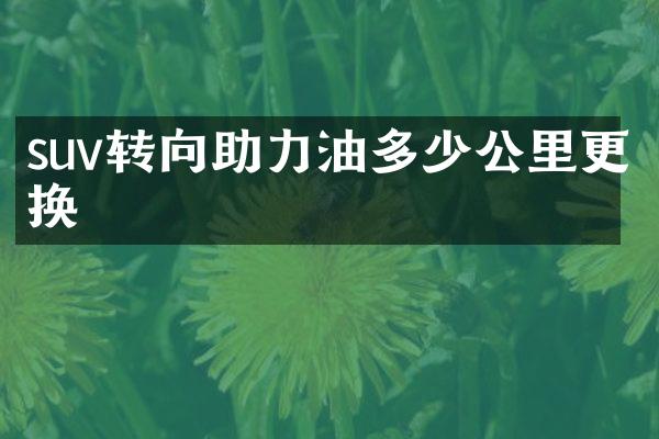 suv转向助力油多少公里更换