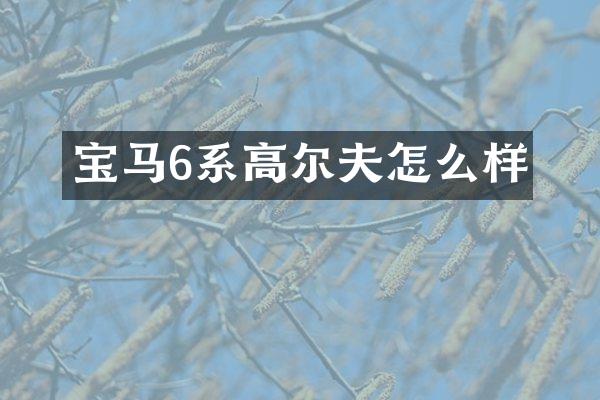 宝马6系高尔夫怎么样