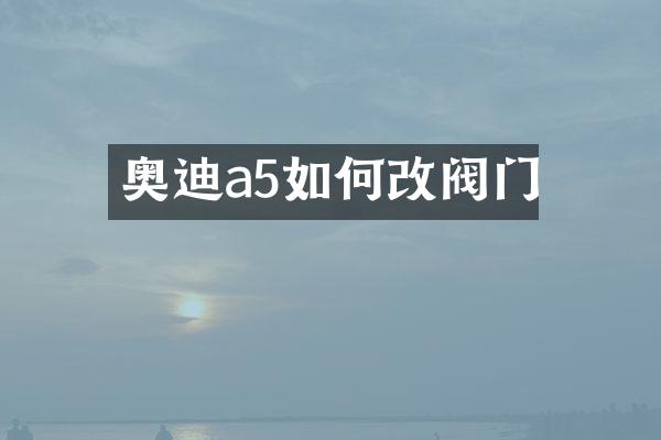 奥迪a5如何改阀门