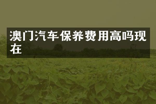 澳门汽车保养费用高吗现在