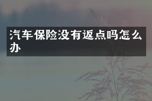 汽车保险没有返点吗怎么办