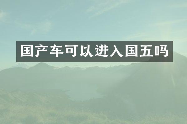 国产车可以进入国五吗