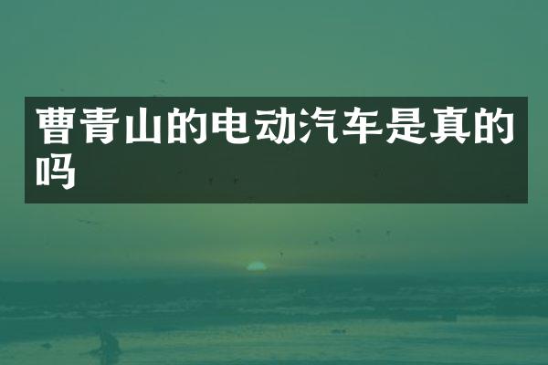 曹青山的电动汽车是真的吗
