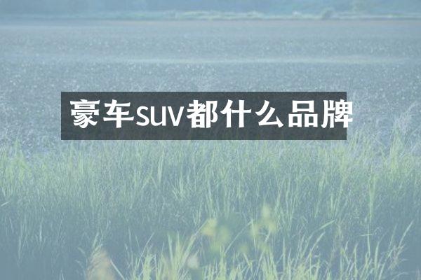 豪车suv都什么品牌