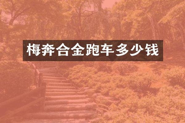 梅奔合金跑车多少钱