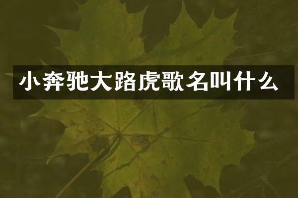 小奔驰大路虎歌名叫什么