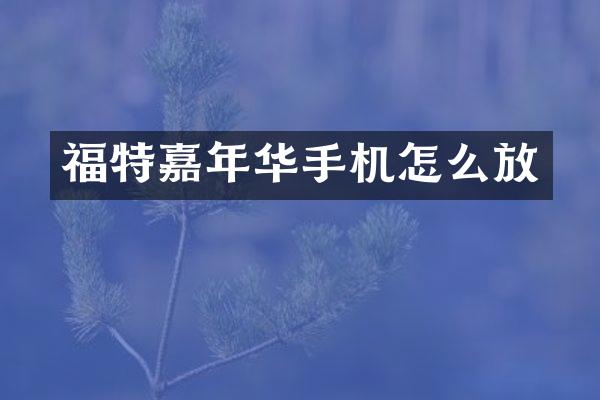 福特嘉年华手机怎么放