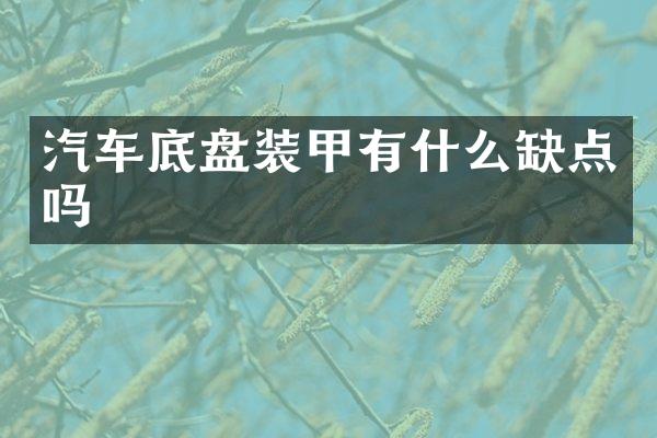 汽车底盘装甲有什么缺点吗