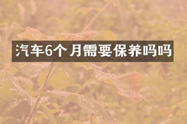 汽车6个月需要保养吗吗