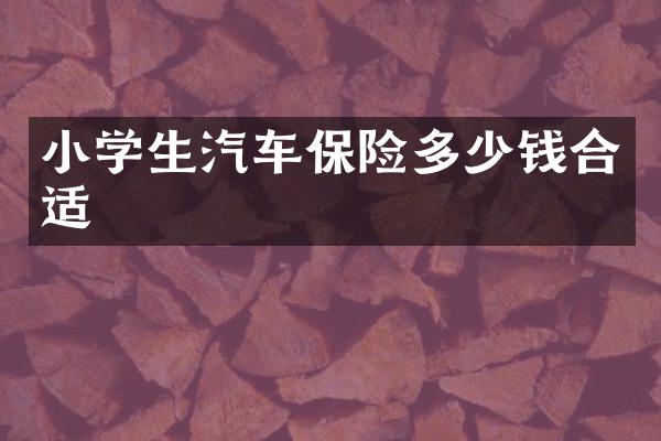 小学生汽车保险多少钱合适