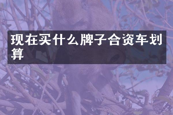现在牌子合资车划算