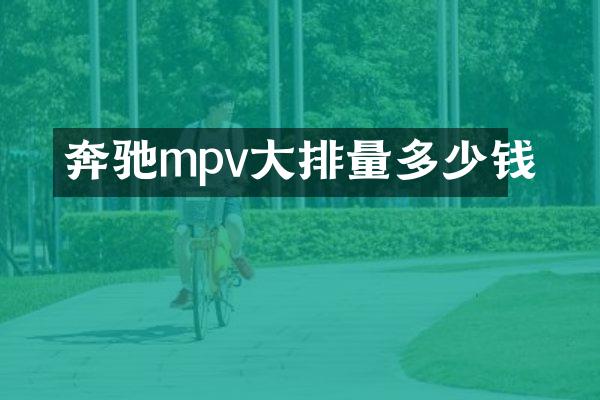 奔驰mpv大排量多少钱