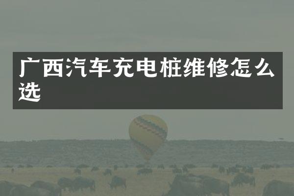 广西汽车充电桩维修怎么选