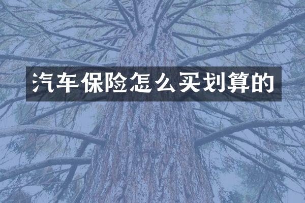 汽车保险怎么买划算的