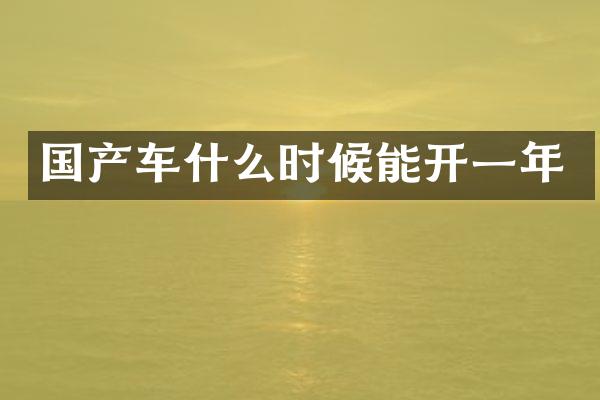 国产车什么时候能开一年