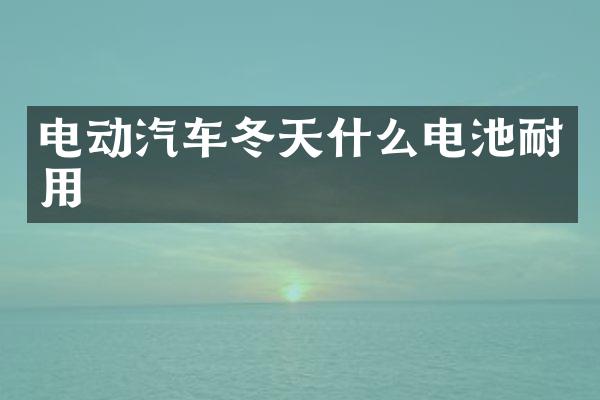 电动汽车冬天什么电池耐用