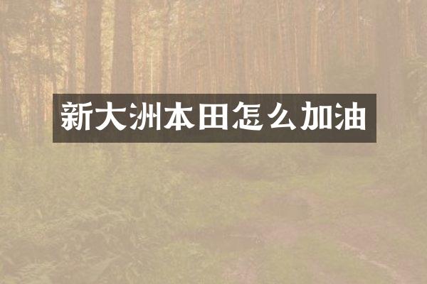 新大洲本田怎么加油