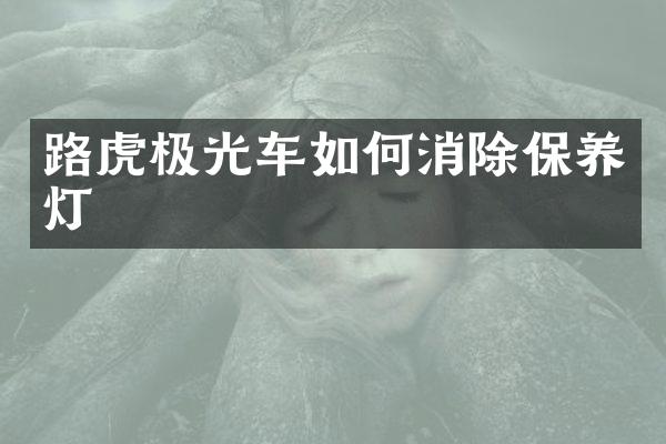 路虎极光车如何消除保养灯