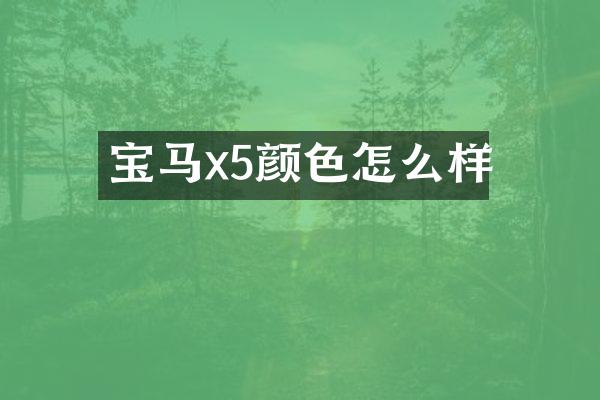 宝马x5颜色怎么样