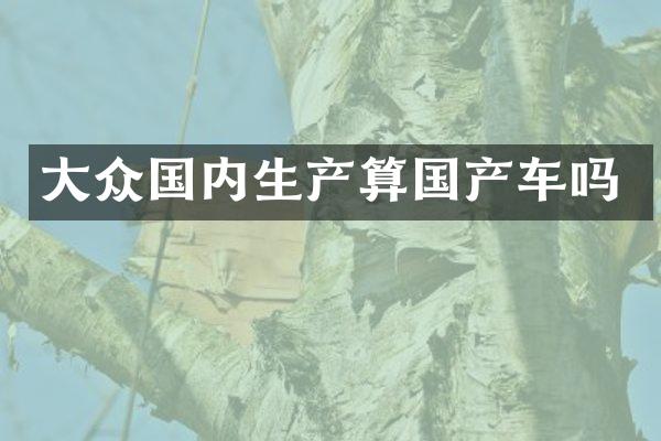 大众国内生产算国产车吗