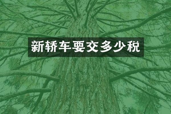 新轿车要交多少税