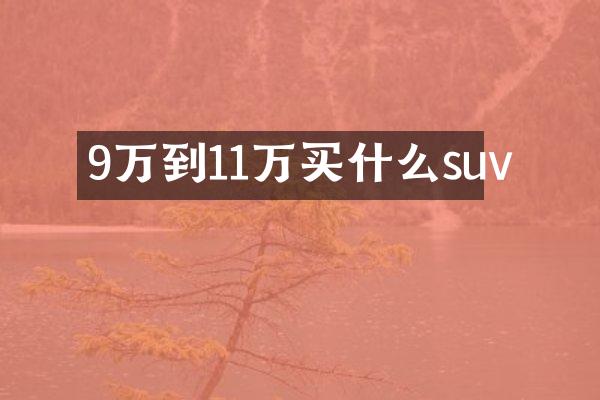 9万到11万买什么suv