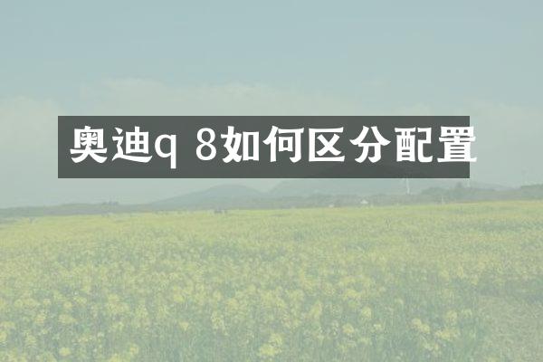 奥迪q 8如何区分配置