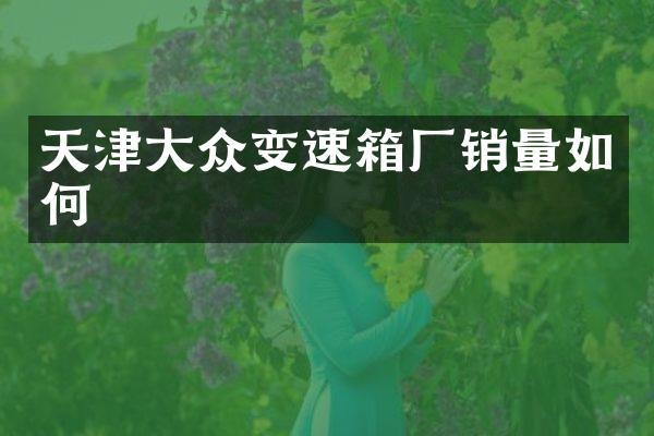 天津大众变速箱厂销量如何
