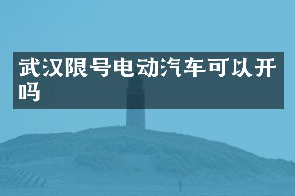 武汉限号电动汽车可以开吗