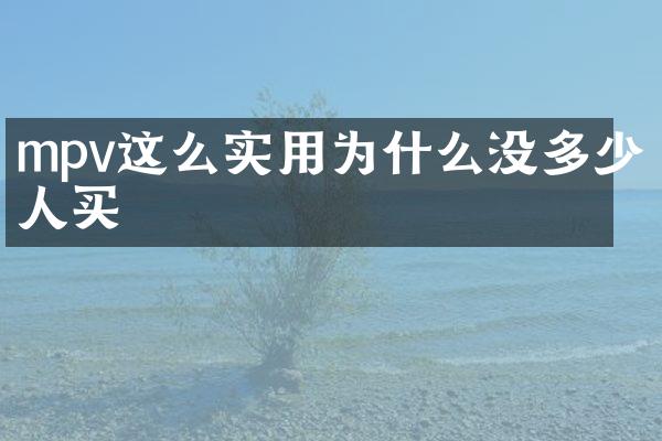 mpv这么实用为什么没多少人买