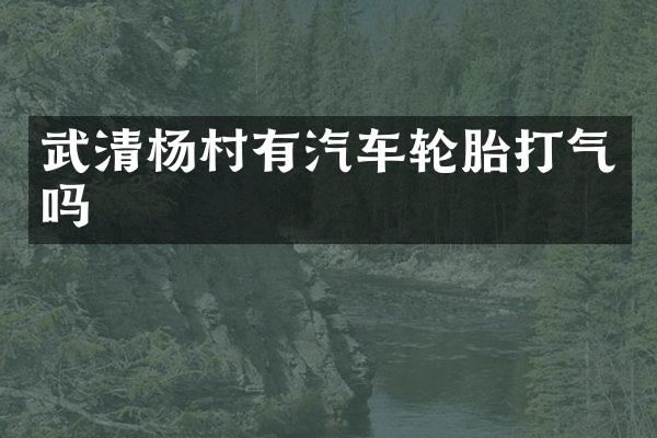 武清杨村有汽车轮胎打气吗