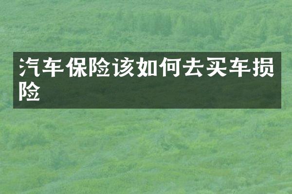 汽车保险该如何去买车损险
