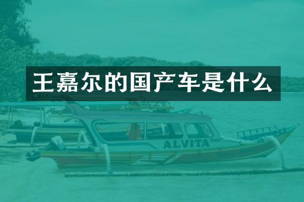 王嘉尔的国产车是什么
