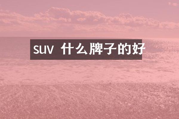 suv 什么牌子的好