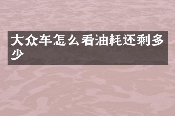 大众车怎么看油耗还剩多少