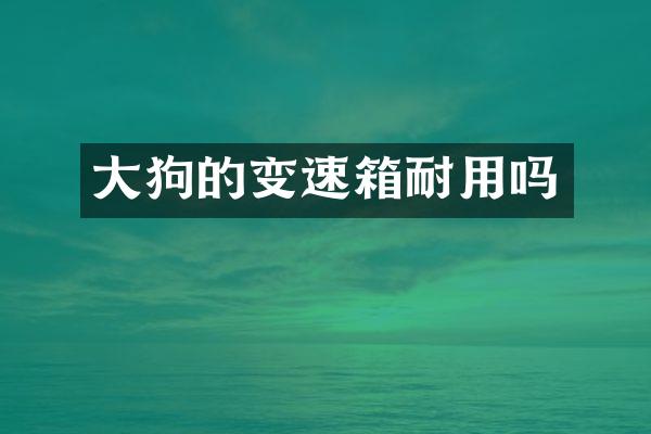 大狗的变速箱耐用吗