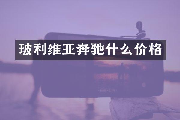 玻利维亚奔驰什么价格