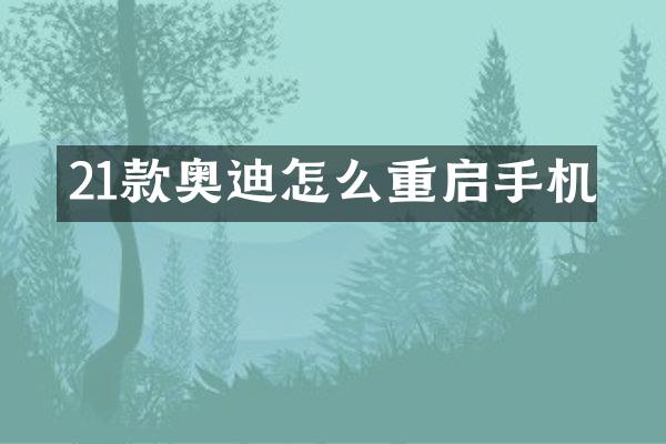 21款奥迪怎么重启手机
