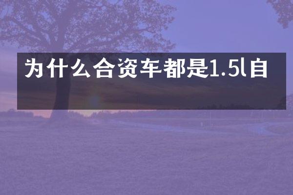 为什么合资车都是1.5l自吸