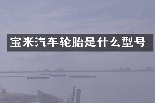 宝来汽车轮胎是什么型号