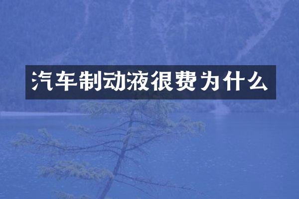 汽车制动液很费为什么