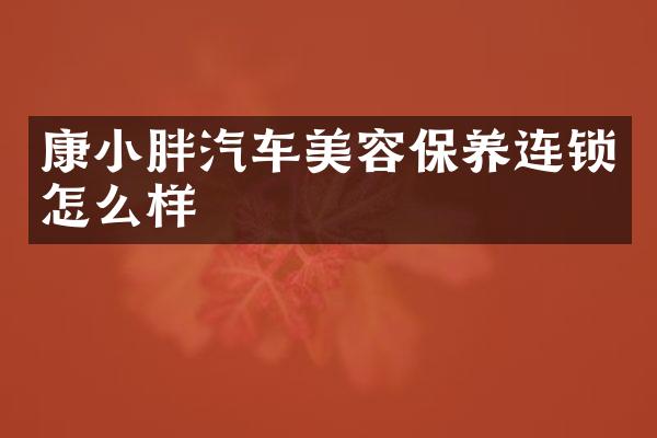 康小胖汽车美容保养连锁怎么样