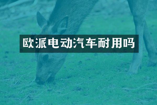 欧派电动汽车耐用吗