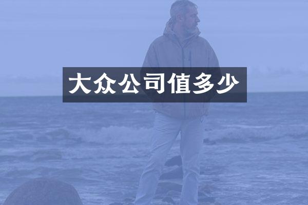 大众公司值多少