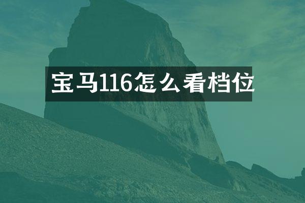 宝马116怎么看档位